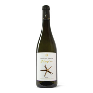 ANTICA ENOTRIA FALANGHINA IGT PUGLIA
